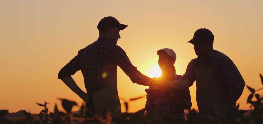 three people in a field during sunset and two are shaking hands