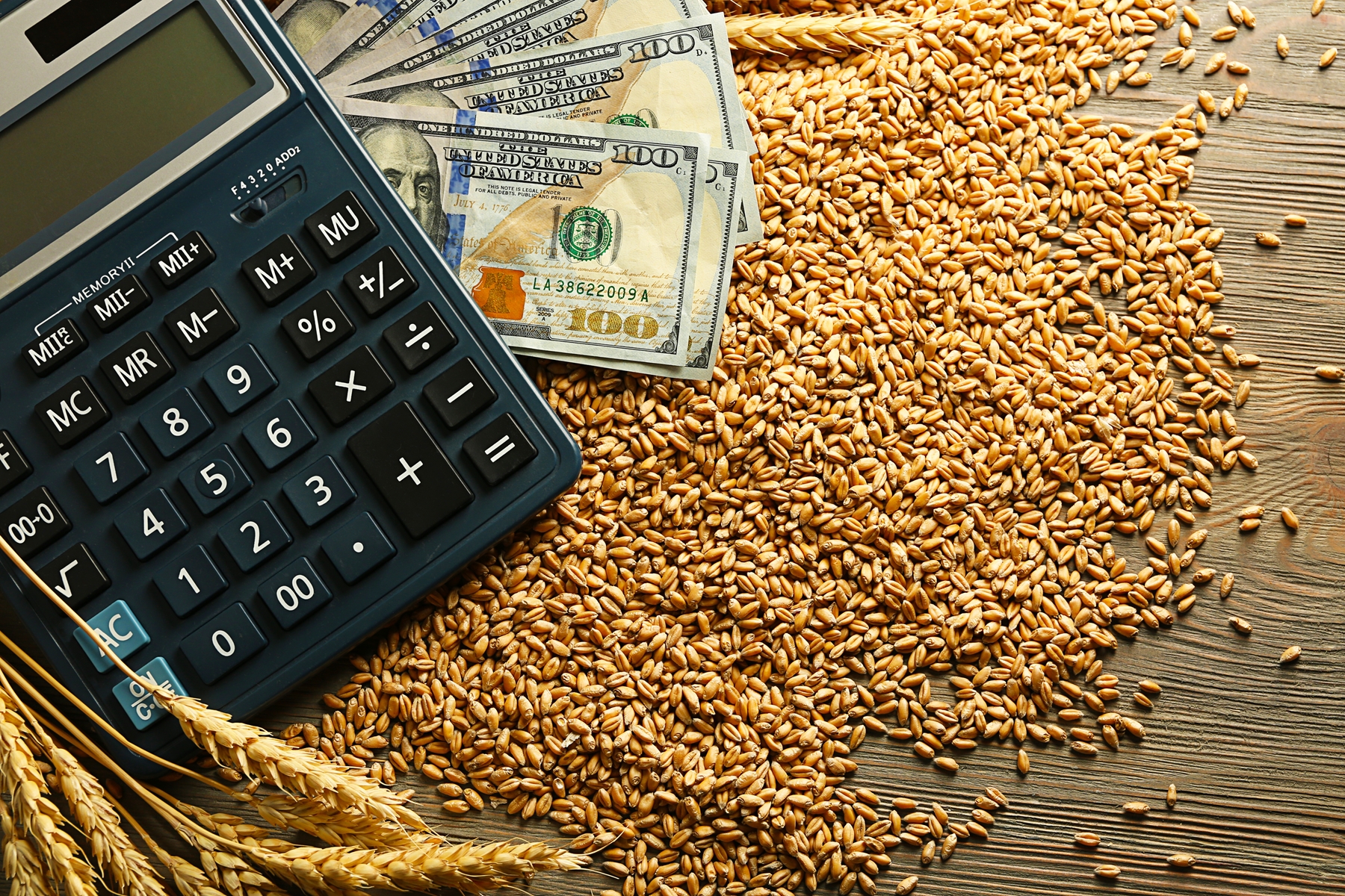 Money and calculator on top of wheat